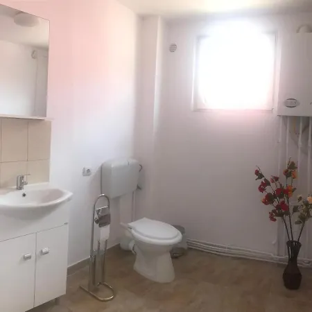 Spacious And Cozy 3Bd+Terrace Couples Apartment Timişoara Exterior photo